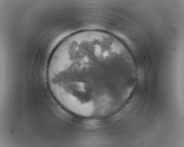 X0000113601278200910161857