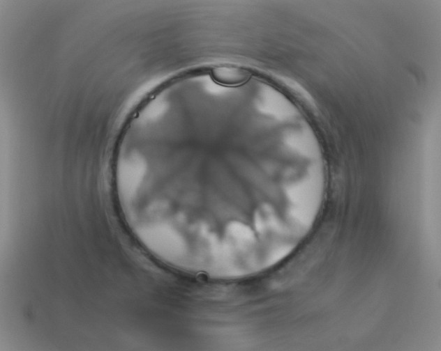 X0000113601279200910161857