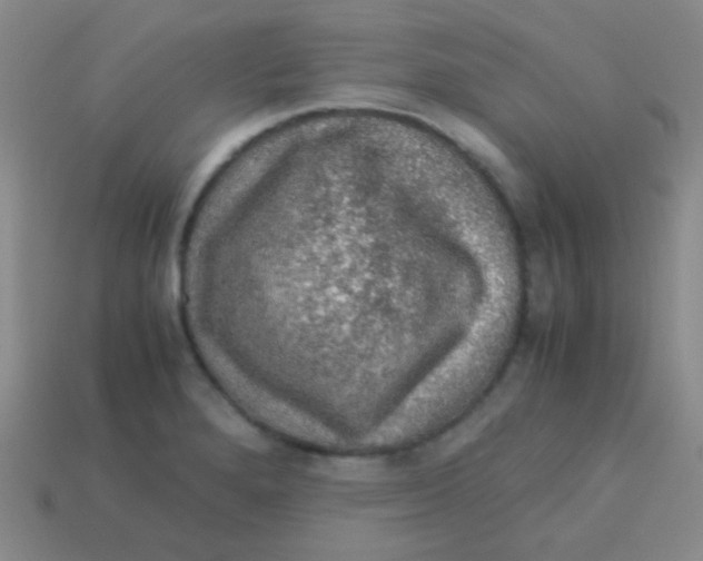 X0000113601280200910161857