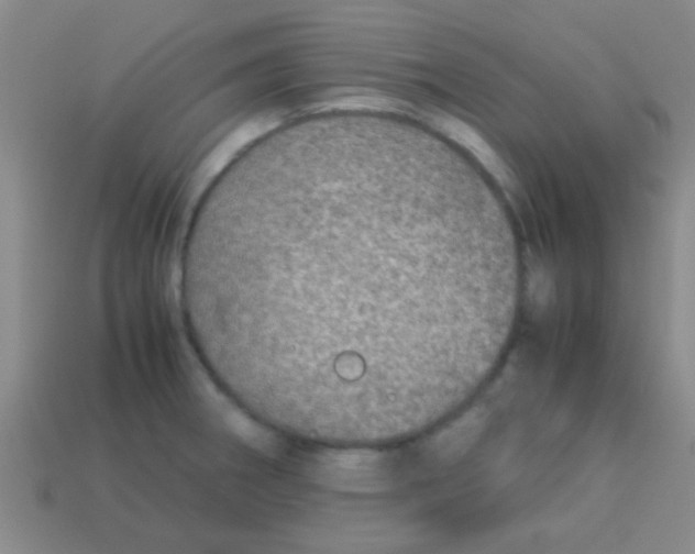 X0000113601282200910161857