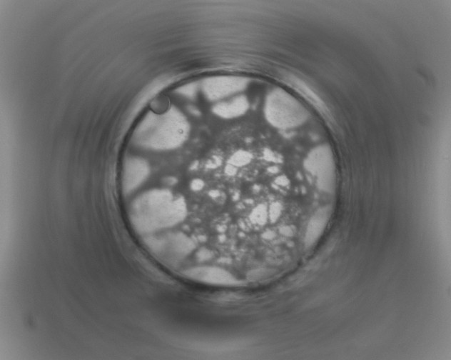 X0000113601283200910161857