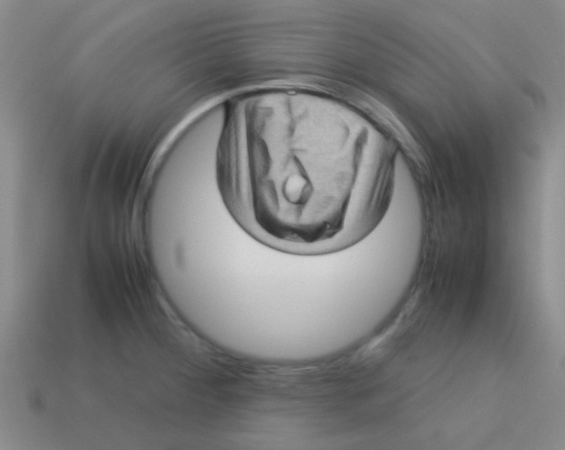 X0000113601284200910161857