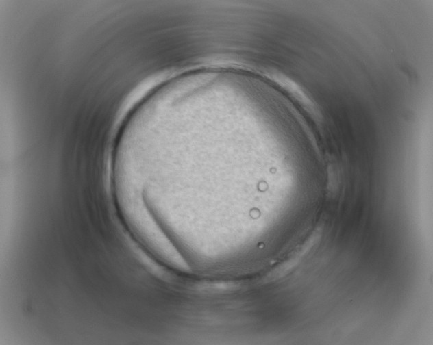 X0000113601286200910161857