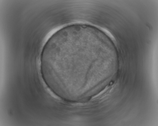 X0000113601287200910161857