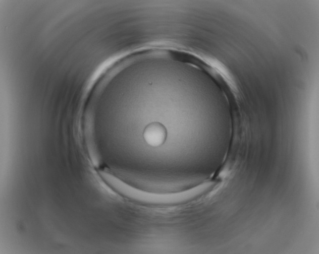 X0000113601288200910161857