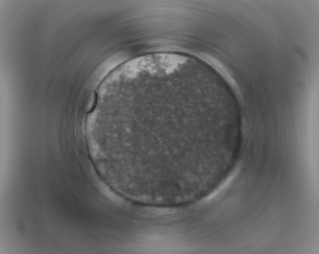 X0000113601289200910161857