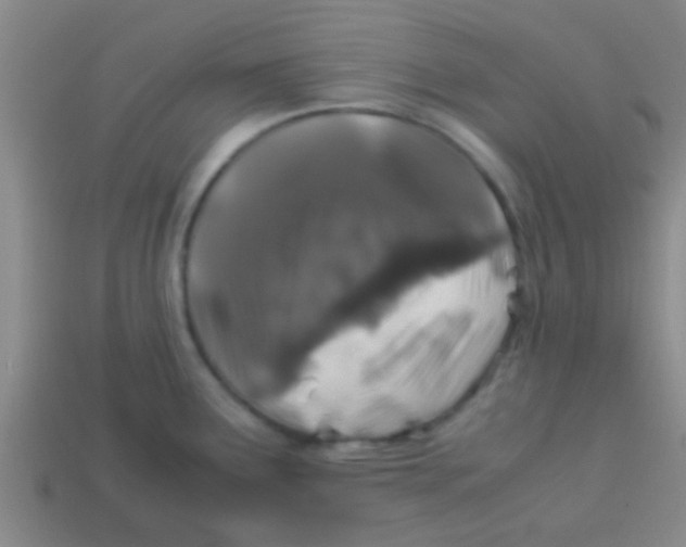 X0000113601291200910161857