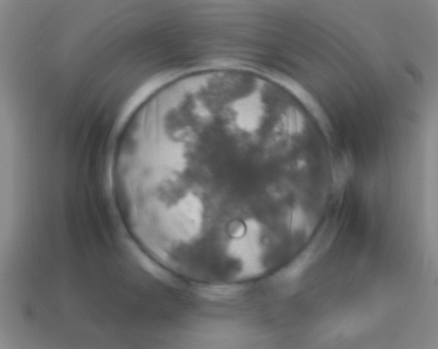 X0000113601294200910161857