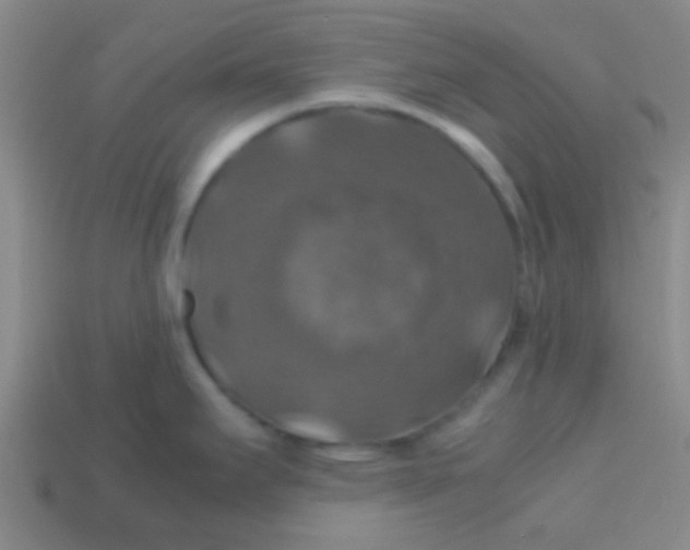 X0000113601295200910161857