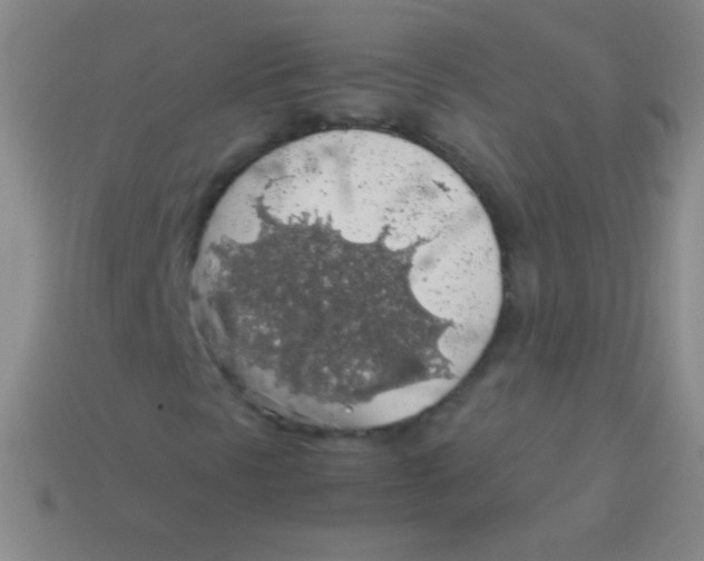 X0000113601297200910161856