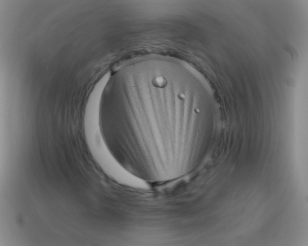 X0000113601298200910161856