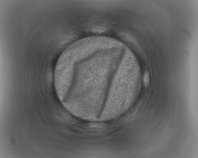 X0000113601299200910161856