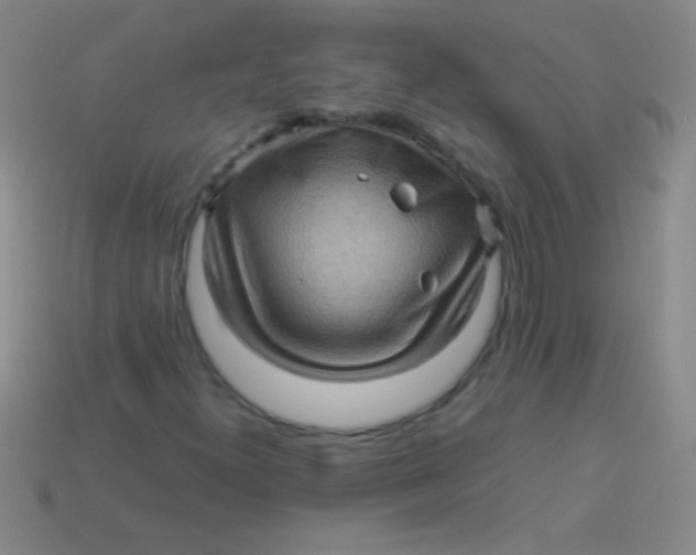 X0000113601300200910161856