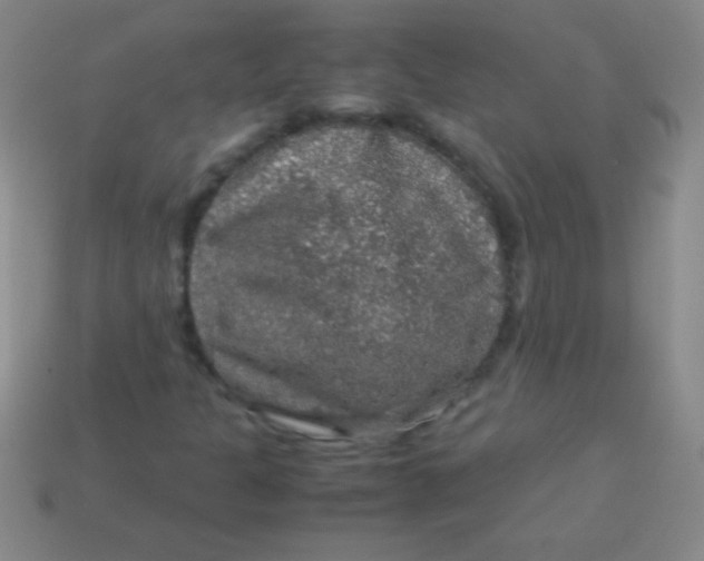 X0000113601301200910161856