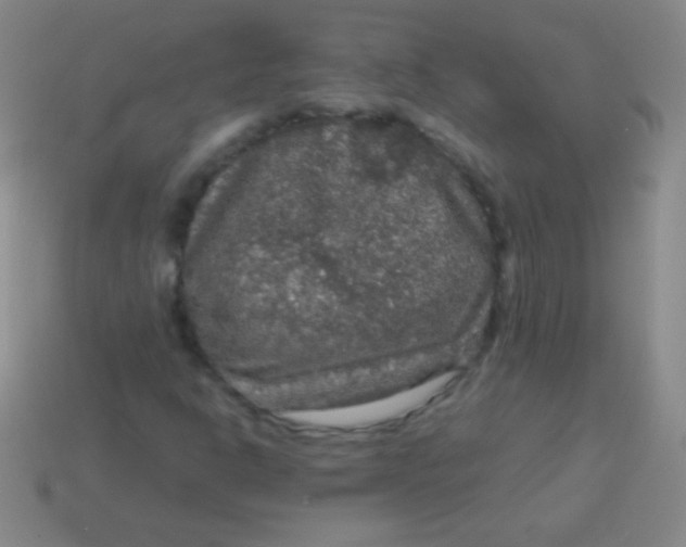 X0000113601302200910161856