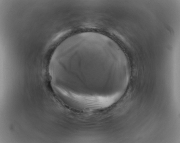 X0000113601303200910161856