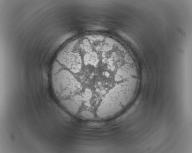 X0000113601305200910161856