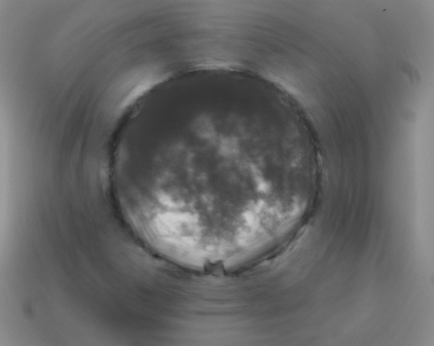 X0000113601306200910161856