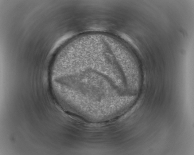 X0000113601307200910161856