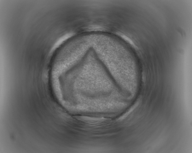 X0000113601309200910161856