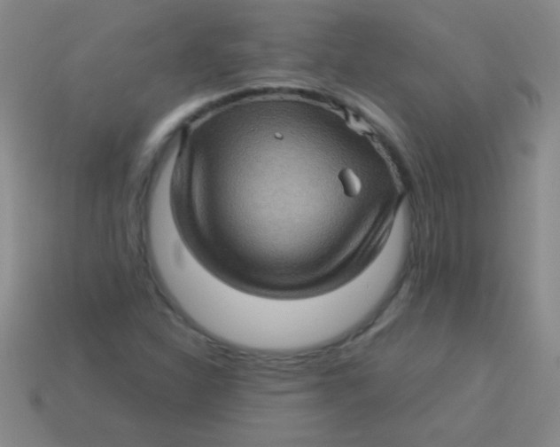 X0000113601310200910161856