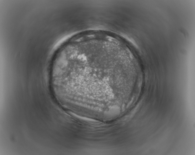 X0000113601311200910161856