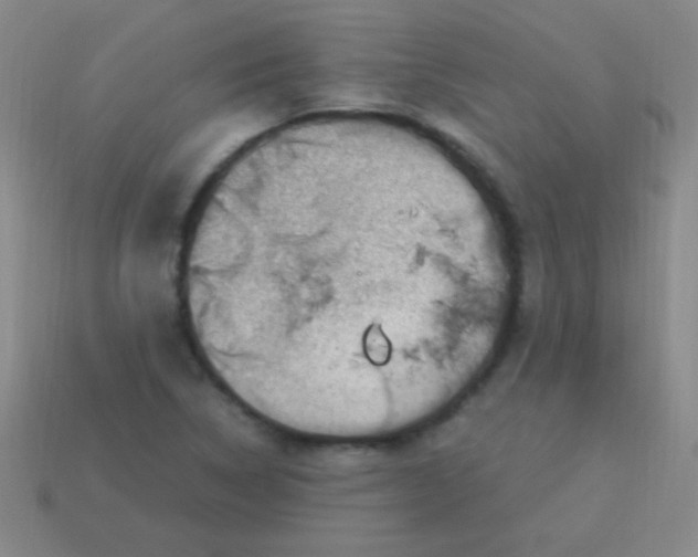 X0000113601314200910161856