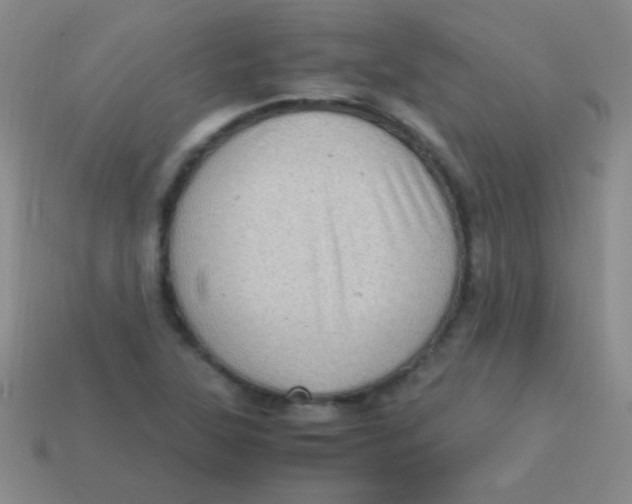 X0000113601315200910161856