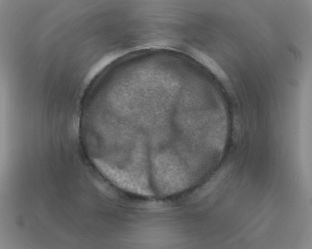 X0000113601316200910161856