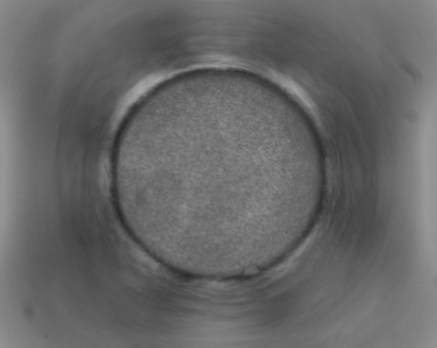 X0000113601318200910161856