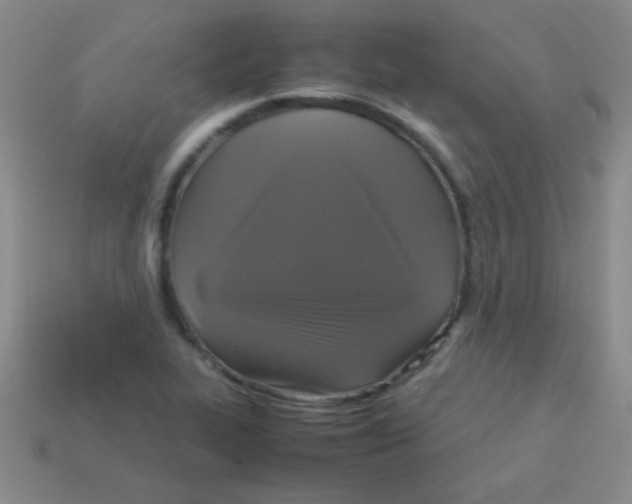 X0000113601319200910161856