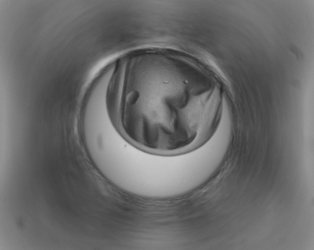 X0000113601320200910161856