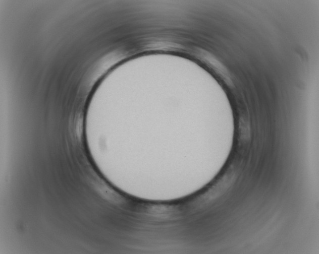 X0000113601322200910161856