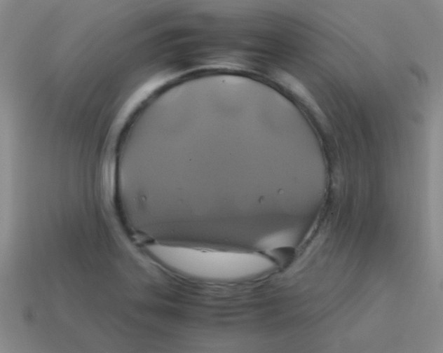 X0000113601323200910161856