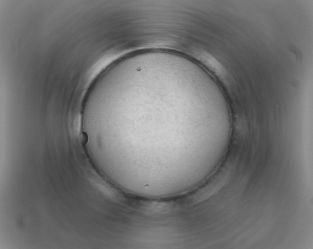 X0000113601324200910161856