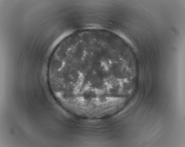 X0000113601325200910161856