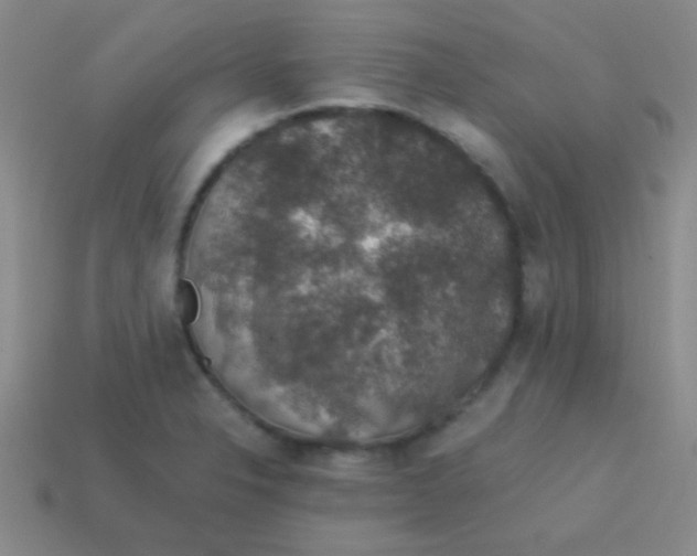 X0000113601326200910161856