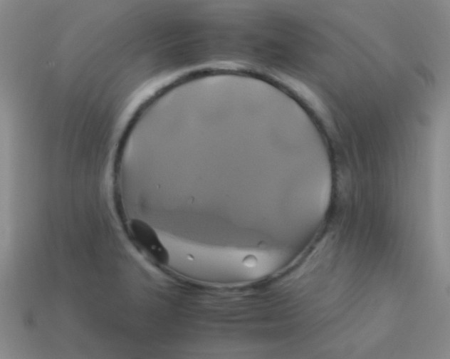 X0000113601327200910161856