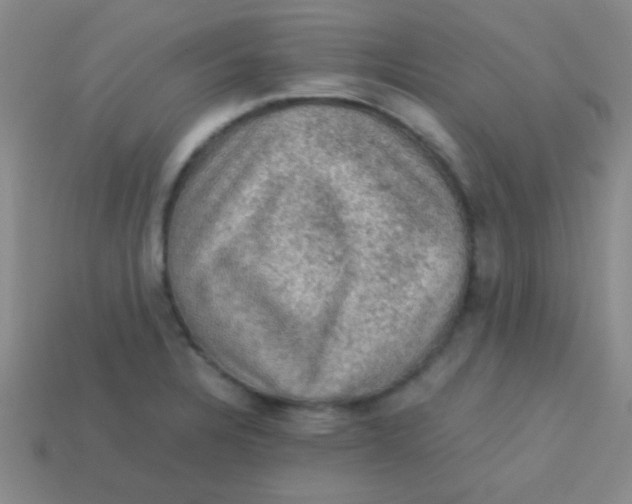 X0000113601328200910161856