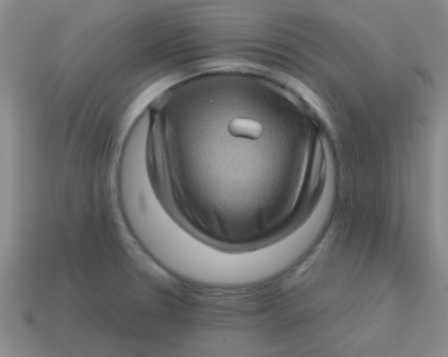 X0000113601330200910161856