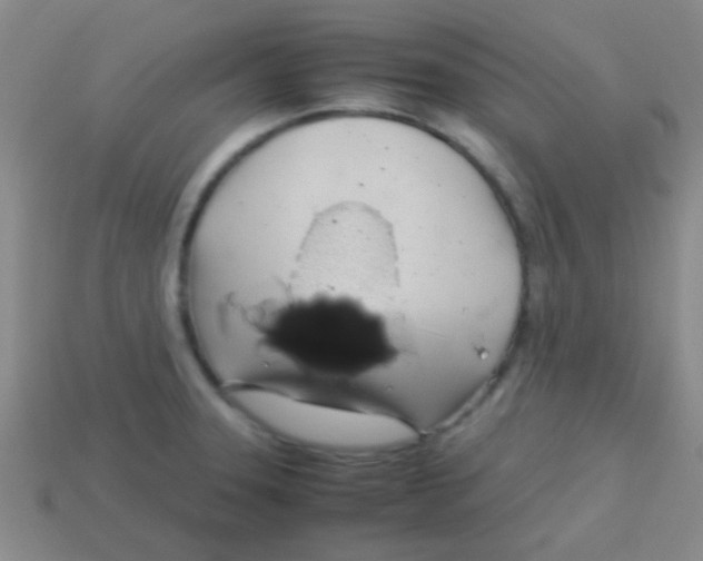 X0000113601331200910161857