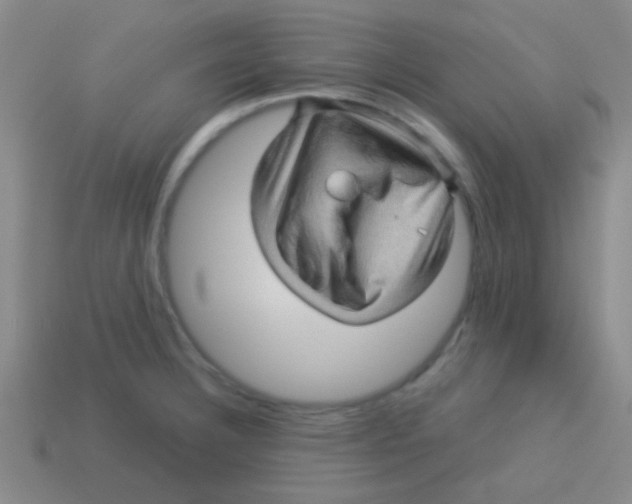 X0000113601332200910161857