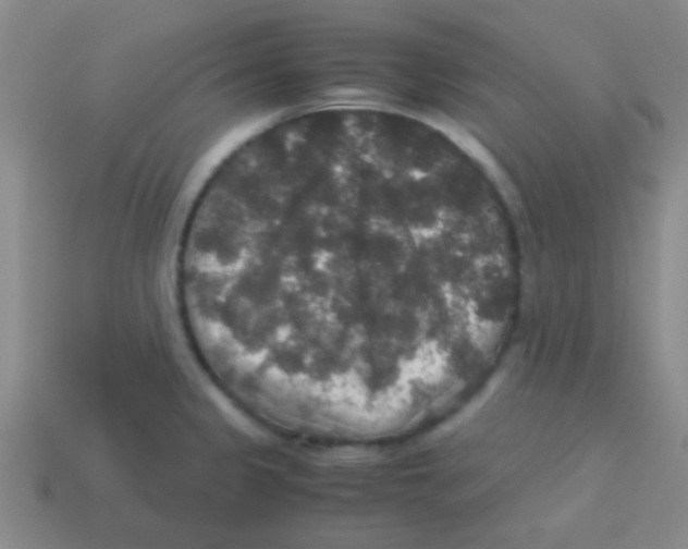 X0000113601333200910161857