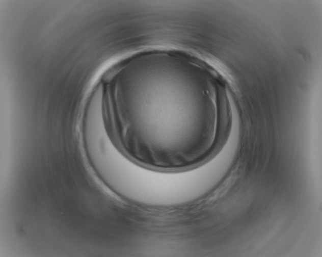 X0000113601334200910161857