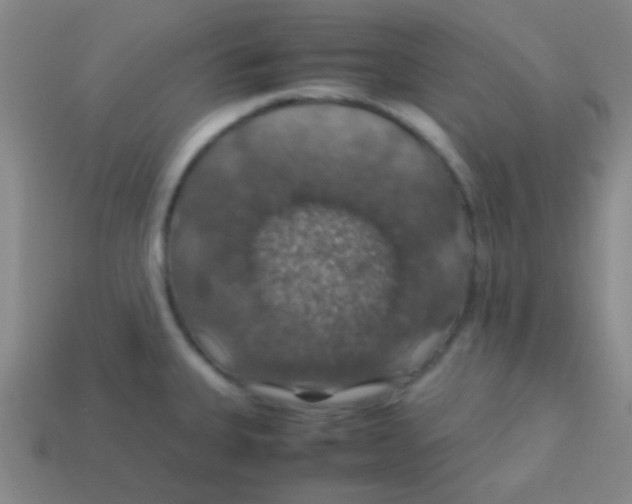 X0000113601335200910161857