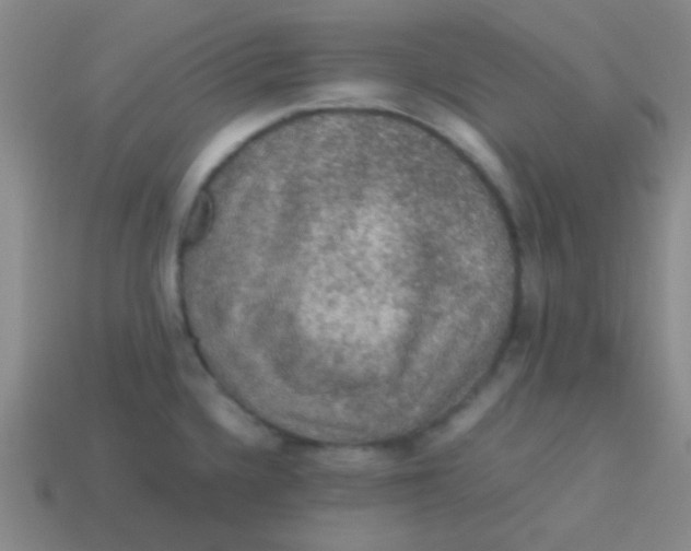 X0000113601336200910161857