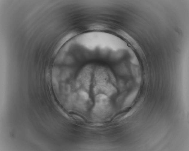 X0000113601337200910161857