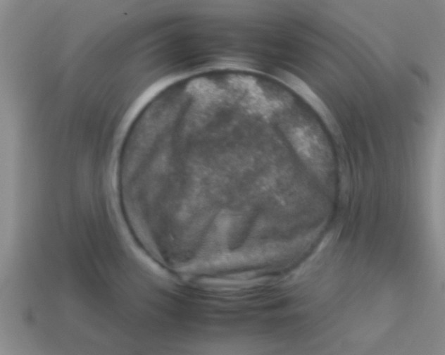 X0000113601339200910161857