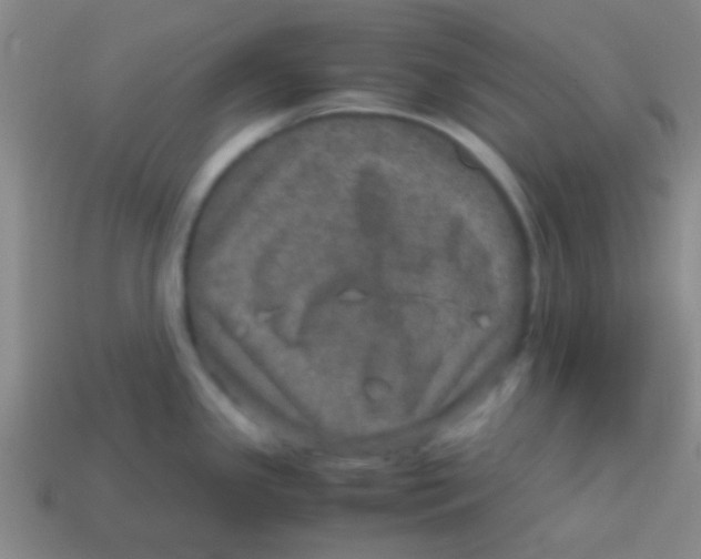 X0000113601341200910161857