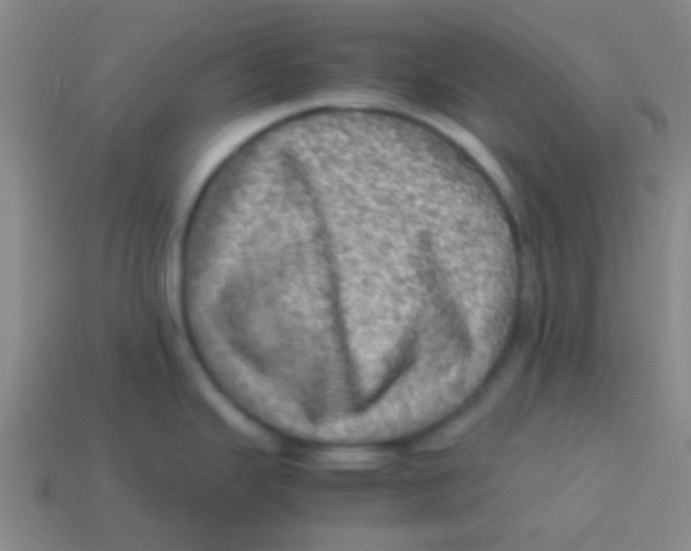 X0000113601343200910161857